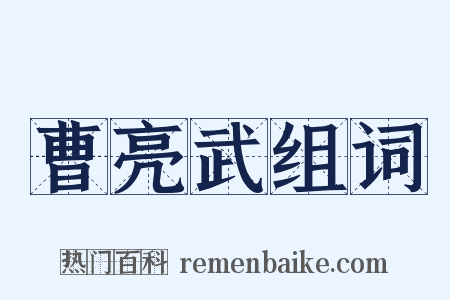 曹亮武组词是什么意思的图片